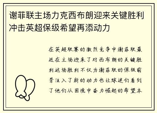 谢菲联主场力克西布朗迎来关键胜利冲击英超保级希望再添动力